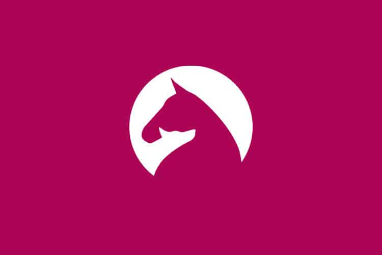 Logodesign für eine Tierosteopathin aus Münster