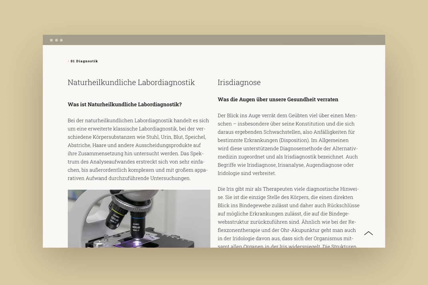 Webdesign aus Münster für Heidi Volbers aus Lingen
